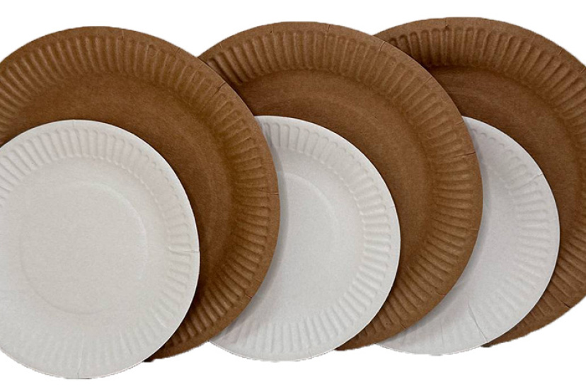 Почему стоит выбирать одноразовые тарелки